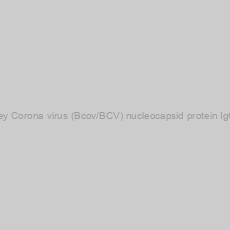 Image of Recombivirus Monkey Corona virus (Bcov/BCV) nucleocapsid protein IgG ELISA kit, 96 tests